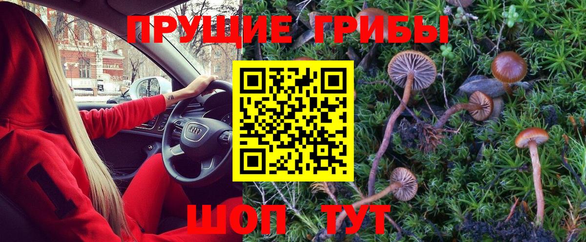 Псилоцибиновые грибы Magic Shrooms  Вход с VPN  где купить наркотик  Татарск 